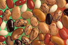 Several types of small bean seeds including white, brown, red, and speckled seeds on a green background