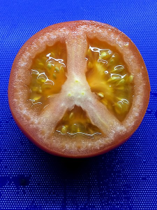 A tomato cut in half on a blue background