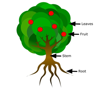 Tree with labels for roots, stem, fruit, and leaves