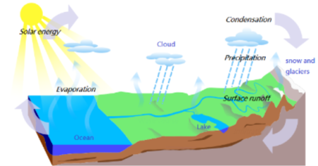 Image of the water cycle. The solar energy enters the atmosphere.  Evaporation of ocean water and surface water enters the atmosphere.  As condensation happens, clouds form.  Water leaves the clouds and atmosphere as precipitation.  Precipitation falls back to the ocean or to the surface and runs off to oceans or lakes.