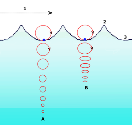 Image showing the motion of particles in water as perpendicular to the direction of the wave.