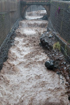 Erosion occurs as soil is moving from one place to another through rushing water.